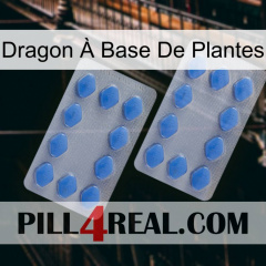 Dragon À Base De Plantes 20